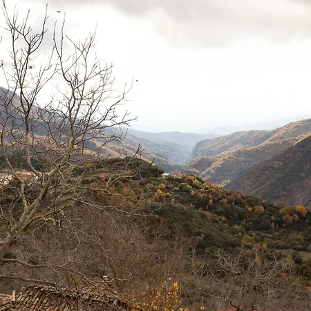 μikri Arktos Boutique