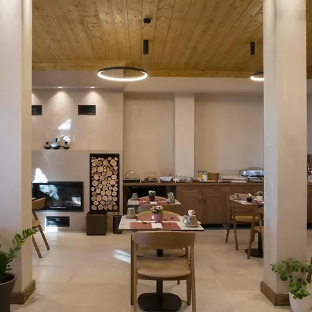 μikri Arktos Boutique 3* 蒂米萨那