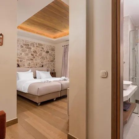 酒店 μikri Arktos Boutique 蒂米萨那