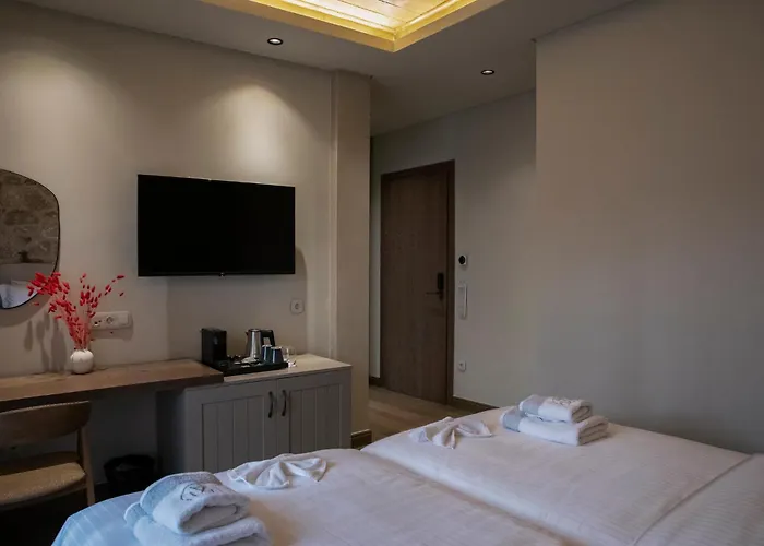 μikri Arktos Boutique 3*