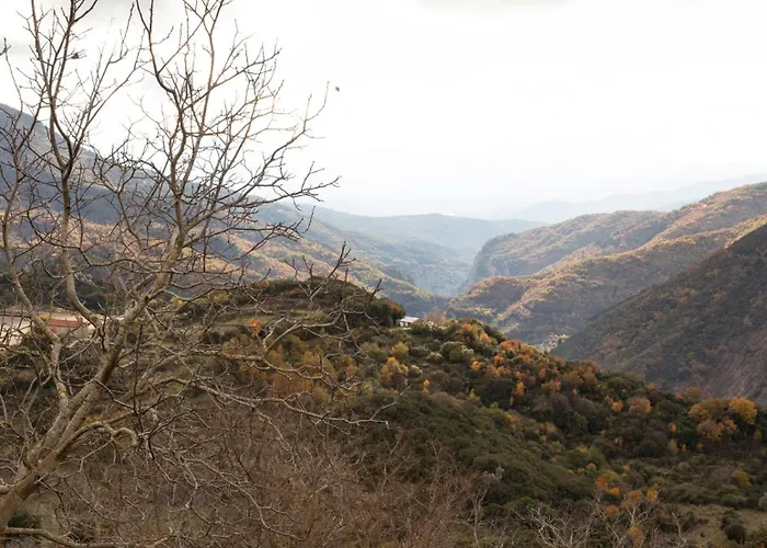 μikri Arktos Boutique