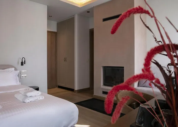 μikri Arktos Boutique 3* Dimitsana